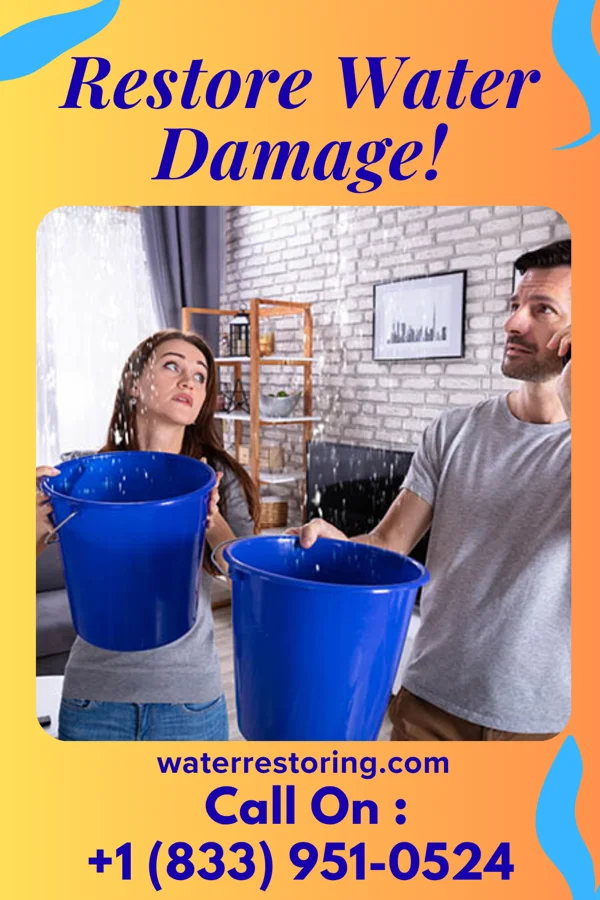 water restoration Shield Disaster Cleanup Montrose