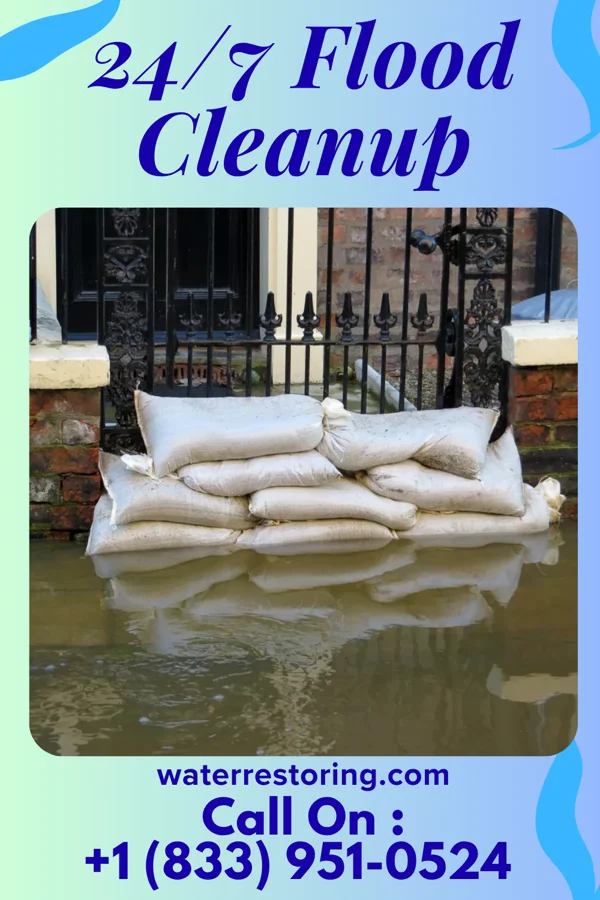 24/7 Flood Cleanup in Montrose, MS