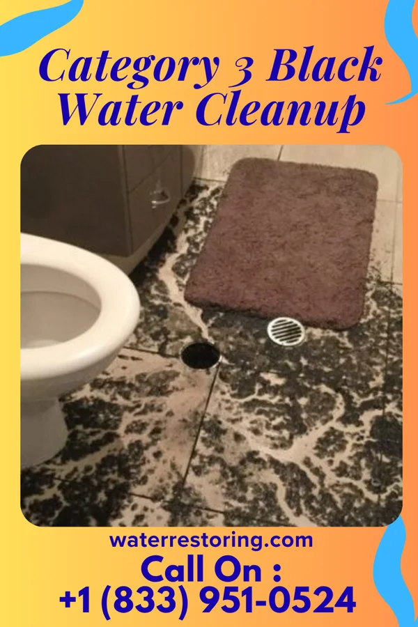 Category 3 Black Water Cleanup in Montrose, MS