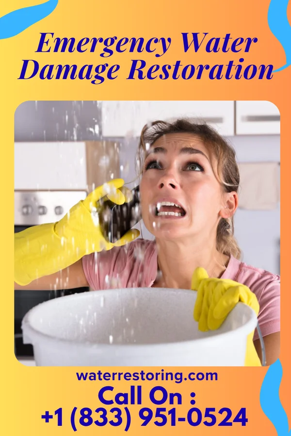 Emergency Water Damage Restoration in Montrose, MS