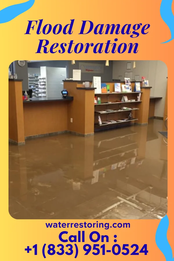 Flood Damage Restoration in Montrose, MS