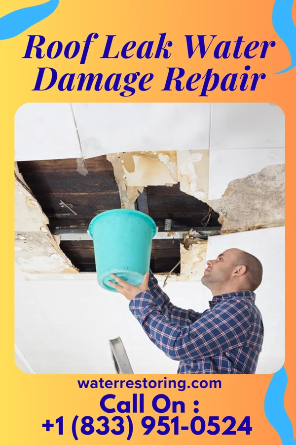 Roof Leak Water Damage Repair in Montrose, MS