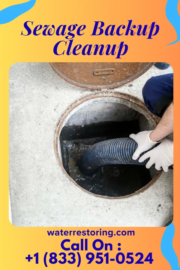 Sewage Backup Cleanup in Montrose, MS